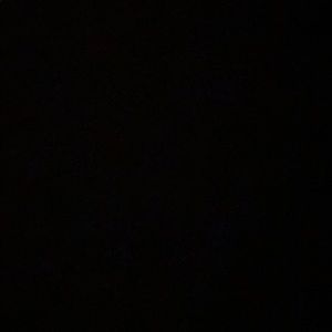 Meet your Posher, Wayne